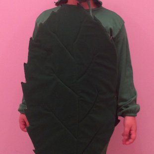 Տերևի բեմական հագուստ